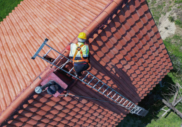 Best Roof Coating and Sealing  in USA